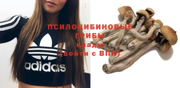 мескалин Алексин