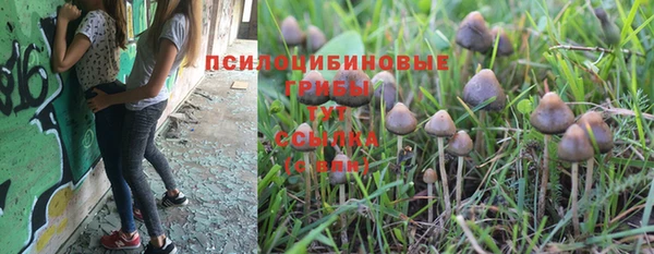 мескалин Алексин