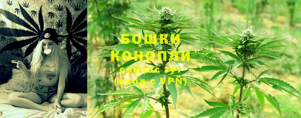 spice Алексеевка