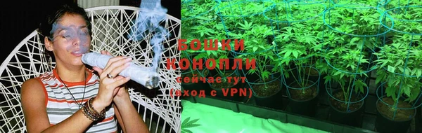 не бодяженный Аркадак