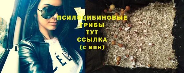 не бодяженный Арсеньев