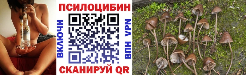 Галлюциногенные грибы прущие грибы  Фролово 