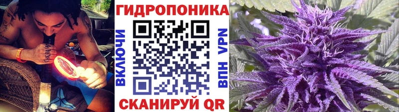 Конопля Bruce Banner  маркетплейс какой сайт  Фролово 